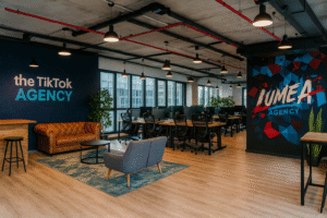 Création de l&rsquo;agence lumea aggency